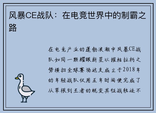 风暴CE战队：在电竞世界中的制霸之路