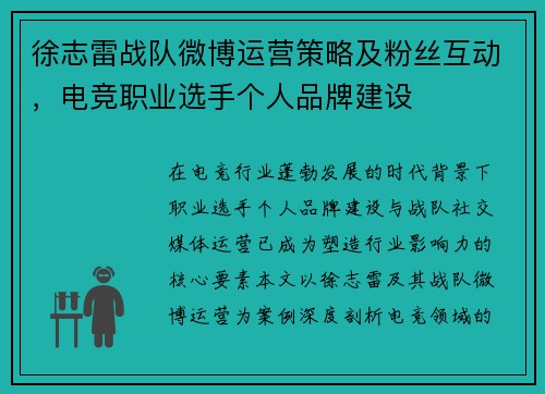 徐志雷战队微博运营策略及粉丝互动，电竞职业选手个人品牌建设